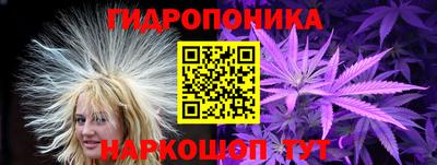 МДПВ Новокубанск