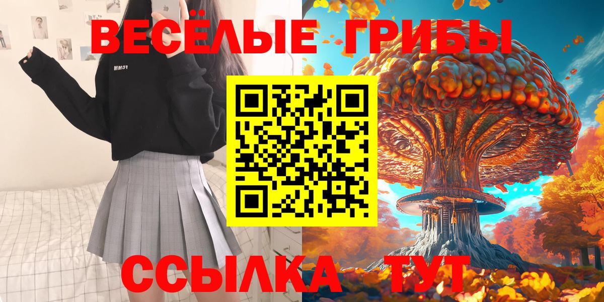 Галлюциногенные грибы GOLDEN TEACHER Черногорск