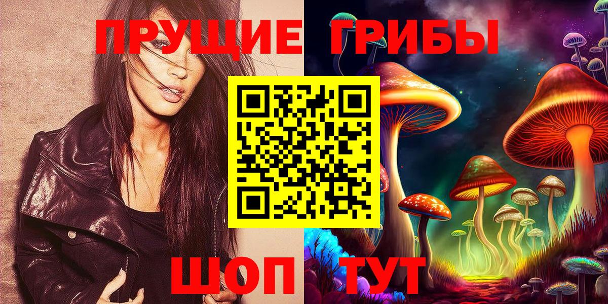 Черногорск  Галлюциногенные грибы прущие грибы  где купить   Галлюциногенные грибы прущие грибы  Вход с VPN 